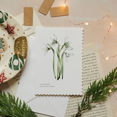 Perce-neige aquarelle festonné durable Carte de vœux