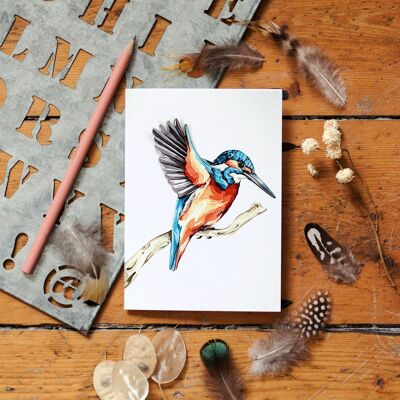 Tarjeta de felicitación de acuarela con diseño de pájaro desplegable de Kingfisher