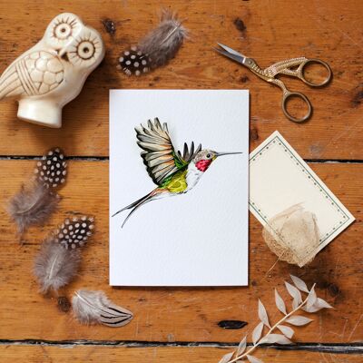 Tarjeta de felicitación de acuarela con diseño de pájaro y colibrí