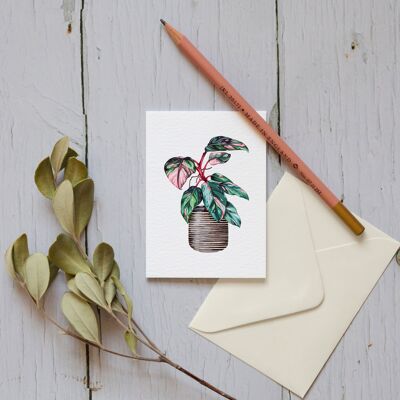 Mini House Plant Watercolour Sustainable Greetings Card