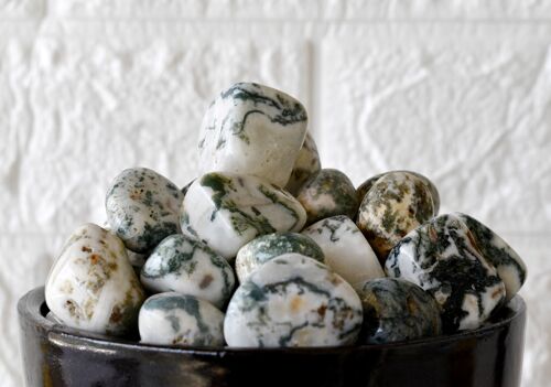 1Pc Tree Agate Tumbled Stones ~ Healing Tumbled Stones