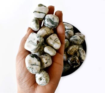 1Pc Tree Agate Tumbled Stones ~ Healing Tumbled Stones 4