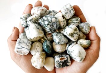 1Pc Tree Agate Tumbled Stones ~ Healing Tumbled Stones 5