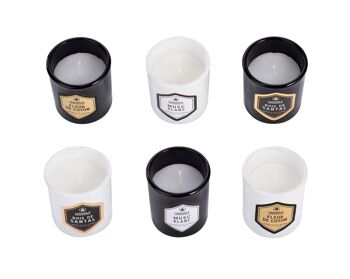 Coffret de 6 Bougies Parfumées Coffret, Cire Naturelle, Musc blanc, Bois de santal & Fleur de coton, 6 Heures de Parfum, 180 g 7