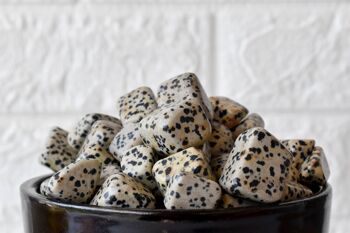 1Pc Dalmatian Jasper Tumbled Stones ~ Healing Tumbled Stones 1