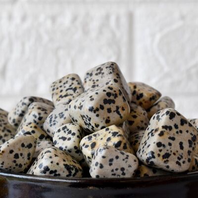 1Pc Dalmatian Jasper Tumbled Stones ~ Healing Tumbled Stones