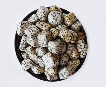 1Pc Dalmatian Jasper Tumbled Stones ~ Healing Tumbled Stones 2