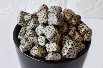 1Pc Dalmatian Jasper Tumbled Stones ~ Healing Tumbled Stones 3