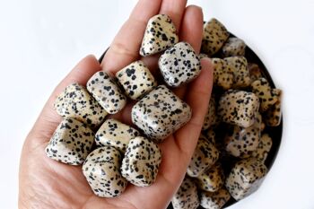1Pc Dalmatian Jasper Tumbled Stones ~ Healing Tumbled Stones 4