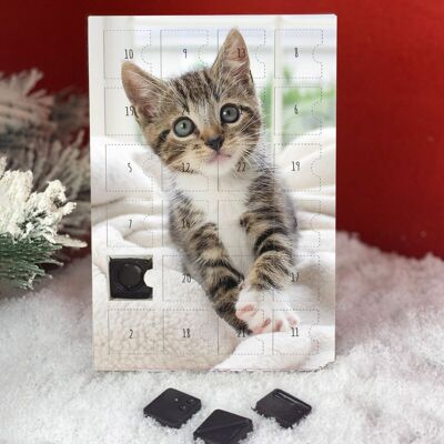 Tabby-Kätzchen-Adventskalender