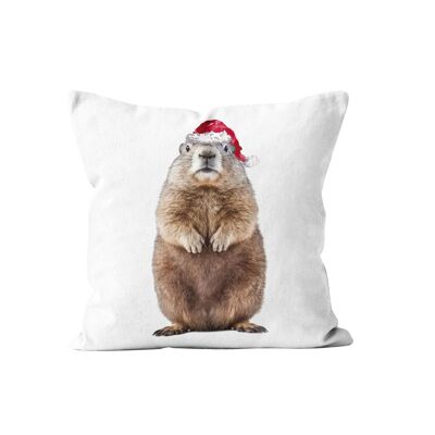 Coussin noël marmotte velours 40x40cm