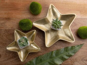 Bols décoratifs étoile lot de 2 Starlight or ou argent décoration de Noël aluminium 10