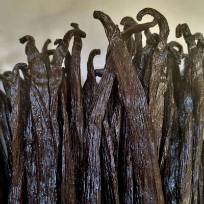 10 “KILIMANJARO” VANILLA PODS M - TANZANIA - Spices V115