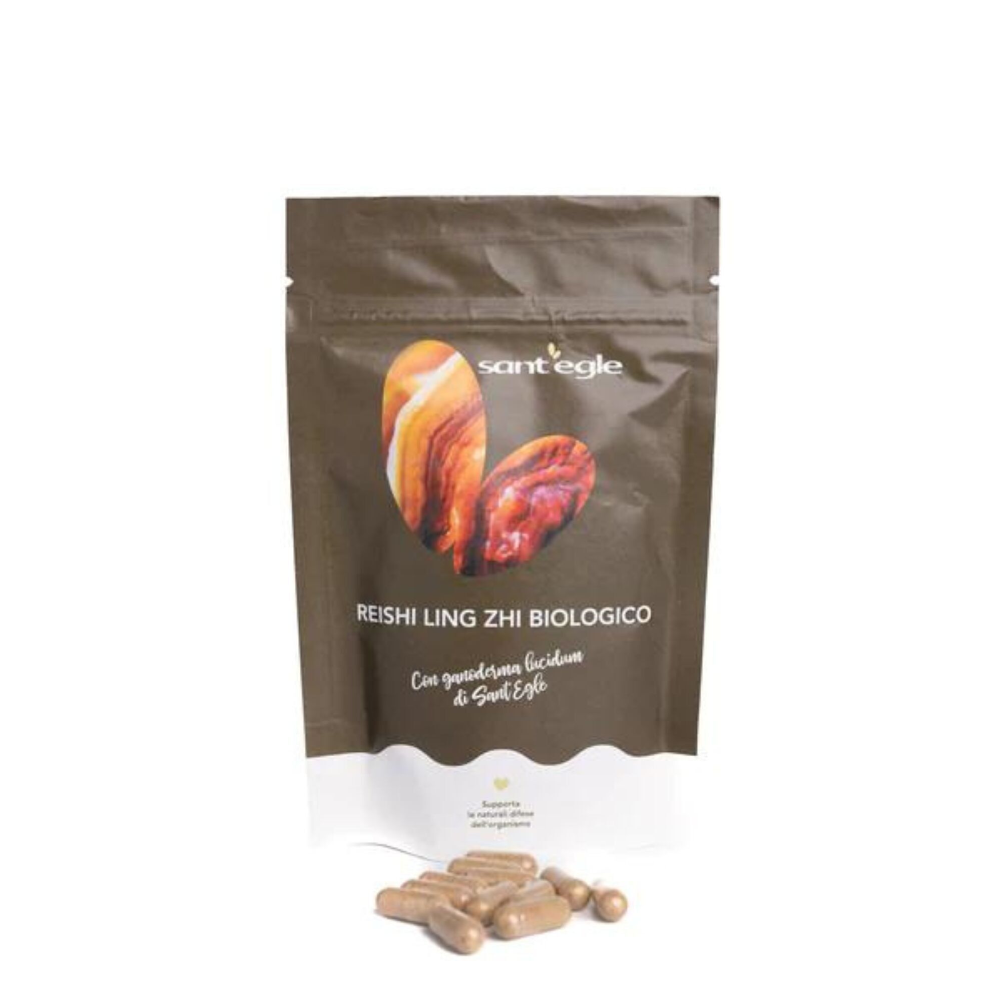 Reishi Ling Zhi Organic 90 capsules