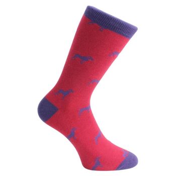 Chaussettes pour chien - Coton peigné rouge et bleu