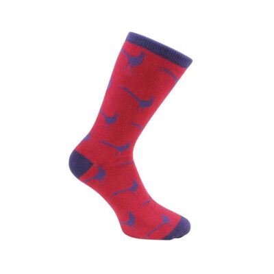 Pheasant Socks - Red & Blue Combed Cotton
