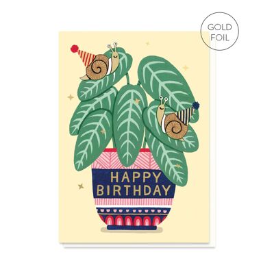 Carte d’anniversaire de plante d’intérieur | Escargots d’anniversaire | Plante d'appartement