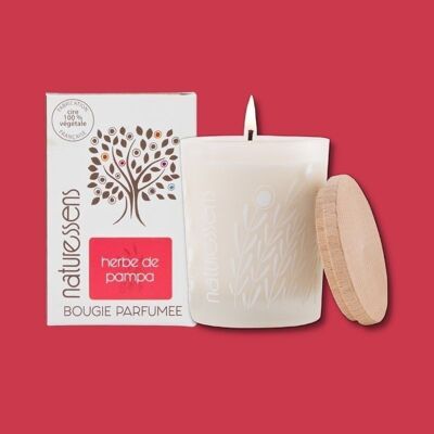 PAMPAS GRASS VEGETABLE WAX SCENTED CANDLE