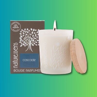 CASCADE VEGETABLE WAX SCENTED CANDLE