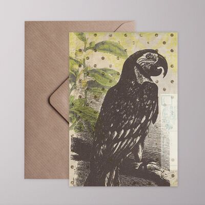 Greeting card - parrot