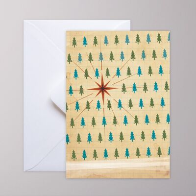 Greeting card - fir trees and star