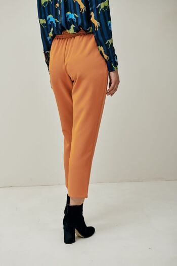 Pantalon Robert - Citrouille 2