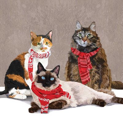 Scarf Cats Napkin 33x33