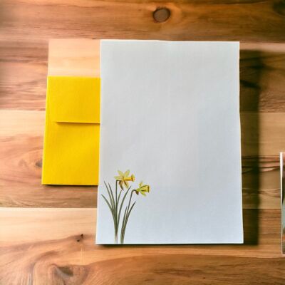 Daffodil Writing Paper Compendium