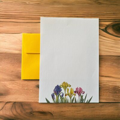Flourish of Iris-Schreibpapier-Kompendium