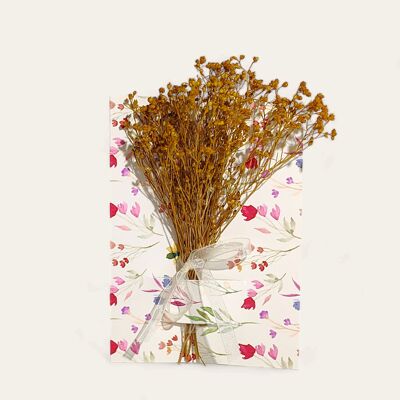 Carte de voeux avec fleurs séchées - Floraison naturelle de genêts