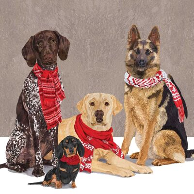 Scarf Dogs Napkin 33x33