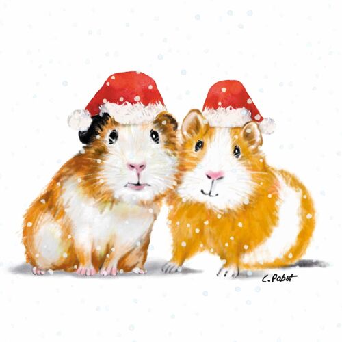 Paula & Paul Winter Napkin 33x33