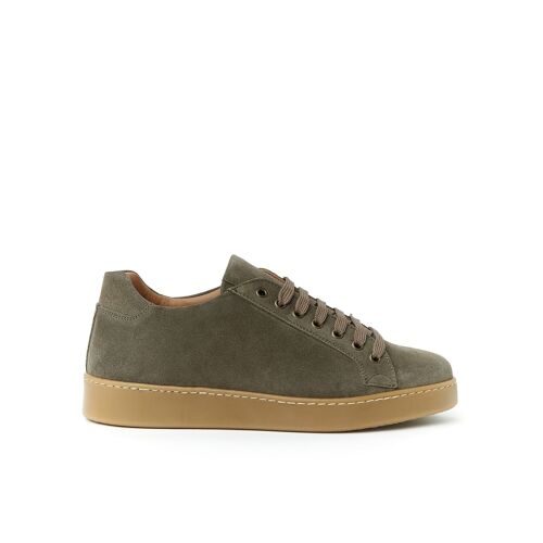 Sneaker di colore taupe da uomo. Made in Italy. Articolo produttore BP2087