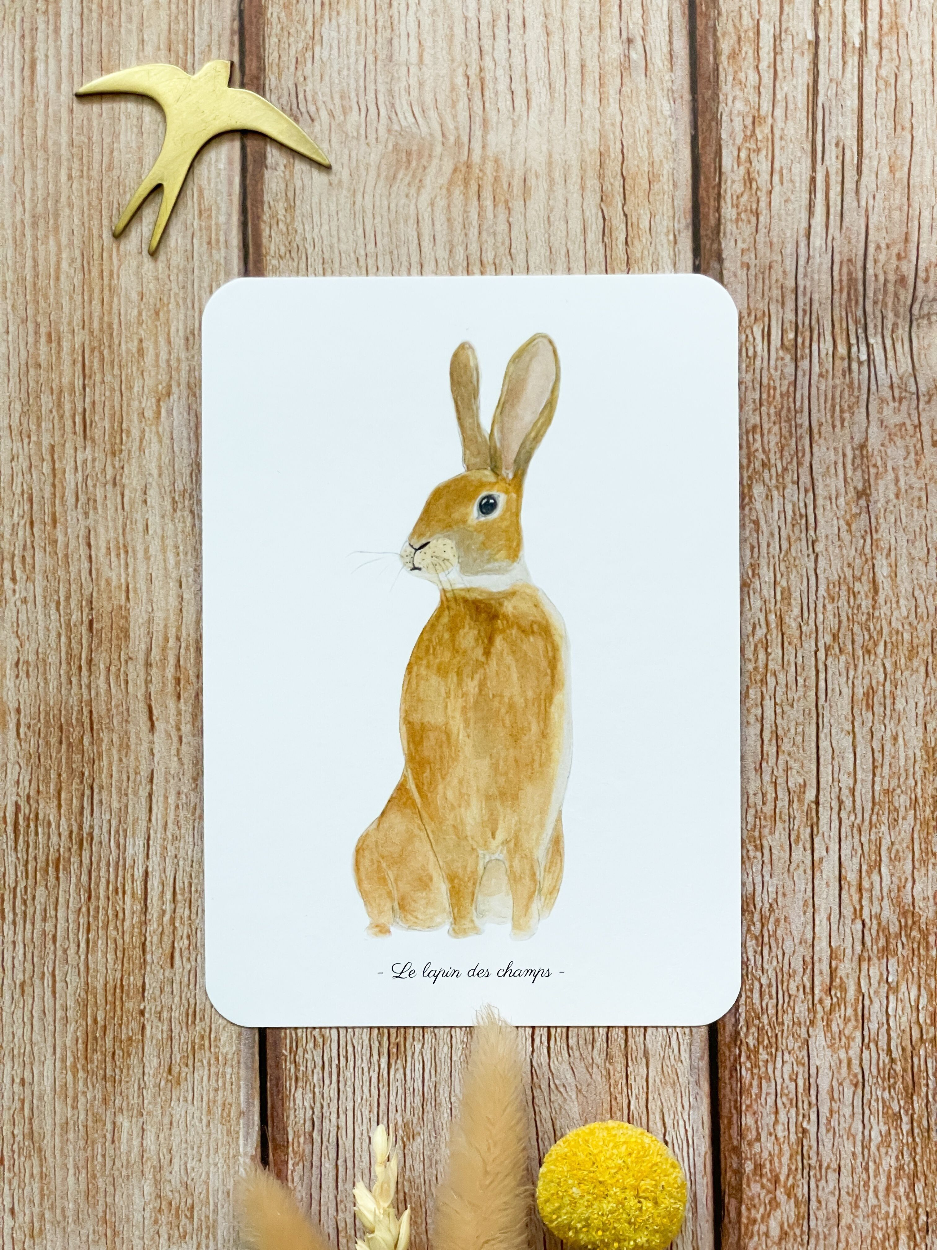 Aquarellkarte das Feldkaninchen