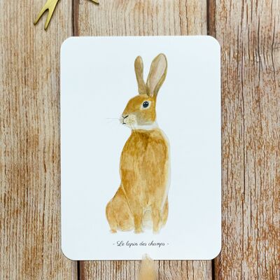watercolor card the field rabbit