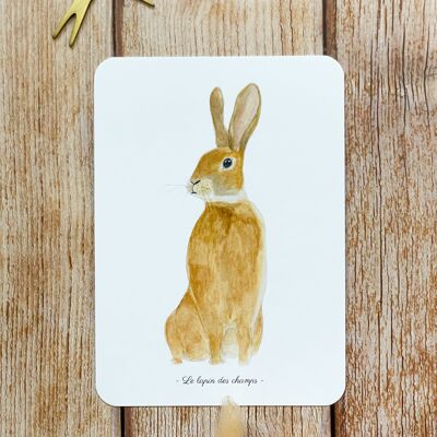 carte aquarelle le lapin des champs