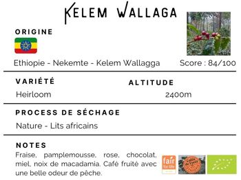 Café Bio Ethiopie Kelem Wallaga 100% Arabica 2