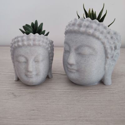 Blumentopf in Form eines Buddha-Kopfes – Dekoration für Haus und Garten.