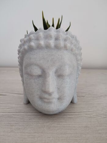 Pot de fleurs en forme de tête de Bouddha - Décoration de maison et de jardin. 4