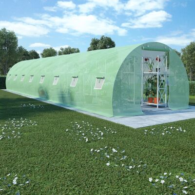 Greenhouse 287.5 ftÂ² 472.4"x18.1"x78.7"