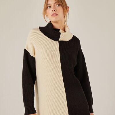 Two-tone turtleneck sweater