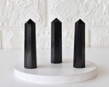Black Shungite Tower Point (Purification and Inflammation) 2