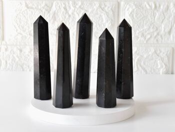Black Tourmaline Tower Point (Balance and Security) 2