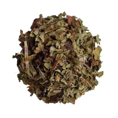 Menthe poivrée Bio - Tisane d'herboristerie Herbasens