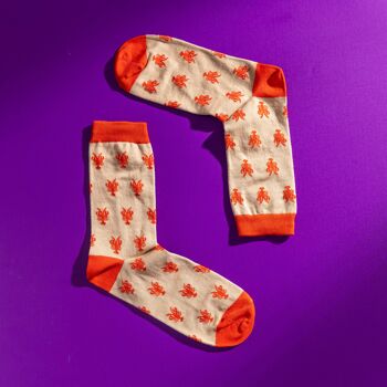 Coffret cadeau chaussettes en coton égyptien à motifs tropicaux colorés pour hommes 4