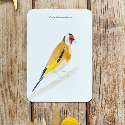 goldfinch watercolor card - with envelope