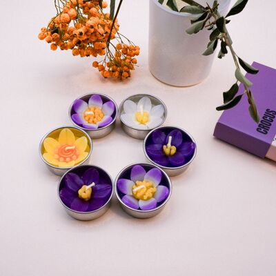 Assorted Crocus Scented Tealights