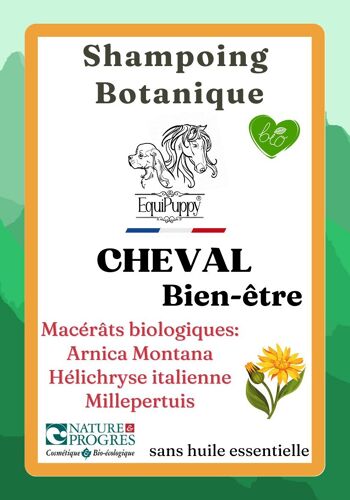 Pack 5 Shampoing 99% Biologique pour Chevaux à l'arnica montana, millepertuis et hélichryse italienne 2