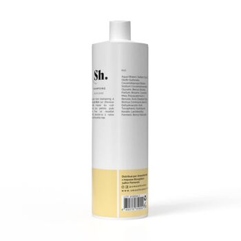 SHAMPOING SOUPLESSE -HUILE DE RICIN- CHEVEUX SECS & ABIMES 2