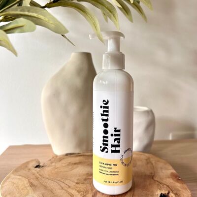 REPAIRING SHAMPOO -HYALURONIC ACID- DRY & DAMAGED HAIR